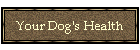 Your Dog's Health